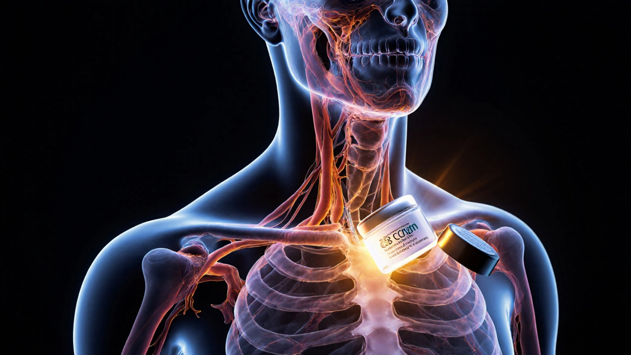 Transluzenter Körper mit erweiterten Blutgefäßen, CBD-Creme liegt nutzlos auf der Haut.