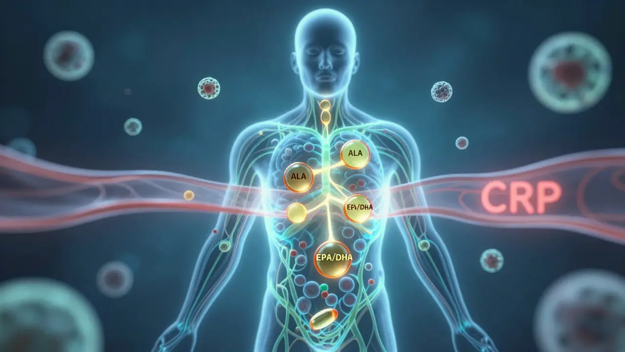 Körperkontur mit leuchtenden Omega-3-Molekülen, die entzündungshemmende Substanzen erzeugen