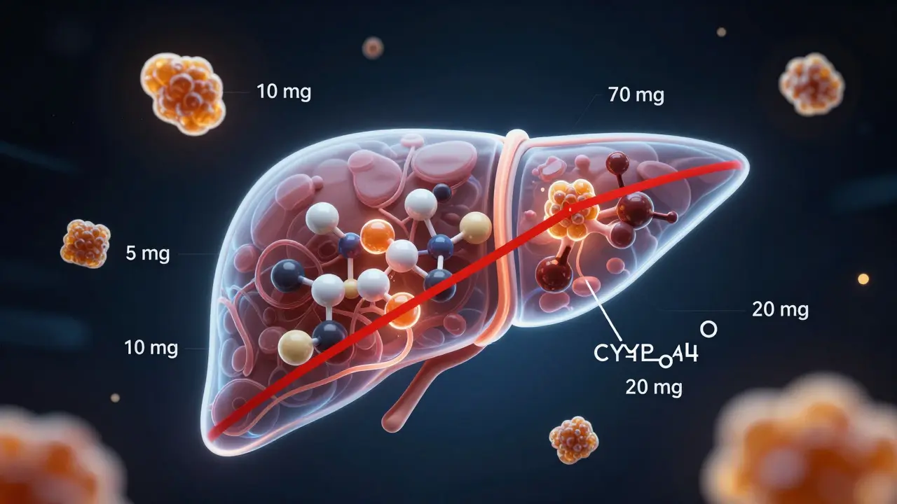 Transparenz-Darstellung der Leber mit CBD-Molekülen, die bis zur sicheren Grenze von 70 mg fließen.