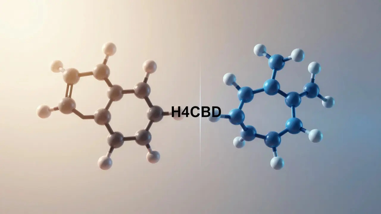 Konzeptionelle Darstellung der molekularen Unterschiede zwischen CBD und H4CBD