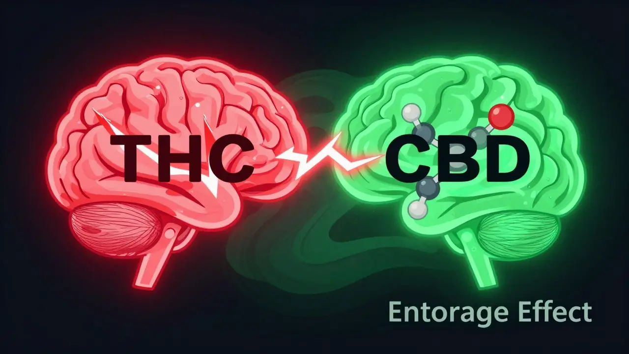 Abstrakte Darstellung der Wechselwirkung zwischen THC und CBD im Gehirn mit leuchtenden Molekülen
